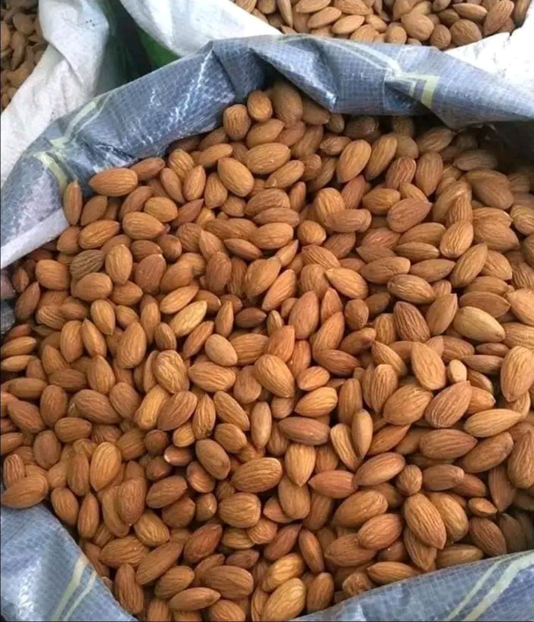 Shelled almonds in bulk
