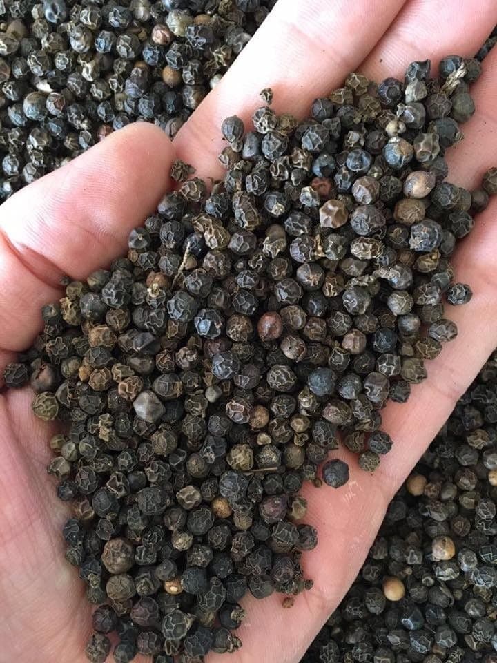 Fresh-graded black peppercorns
