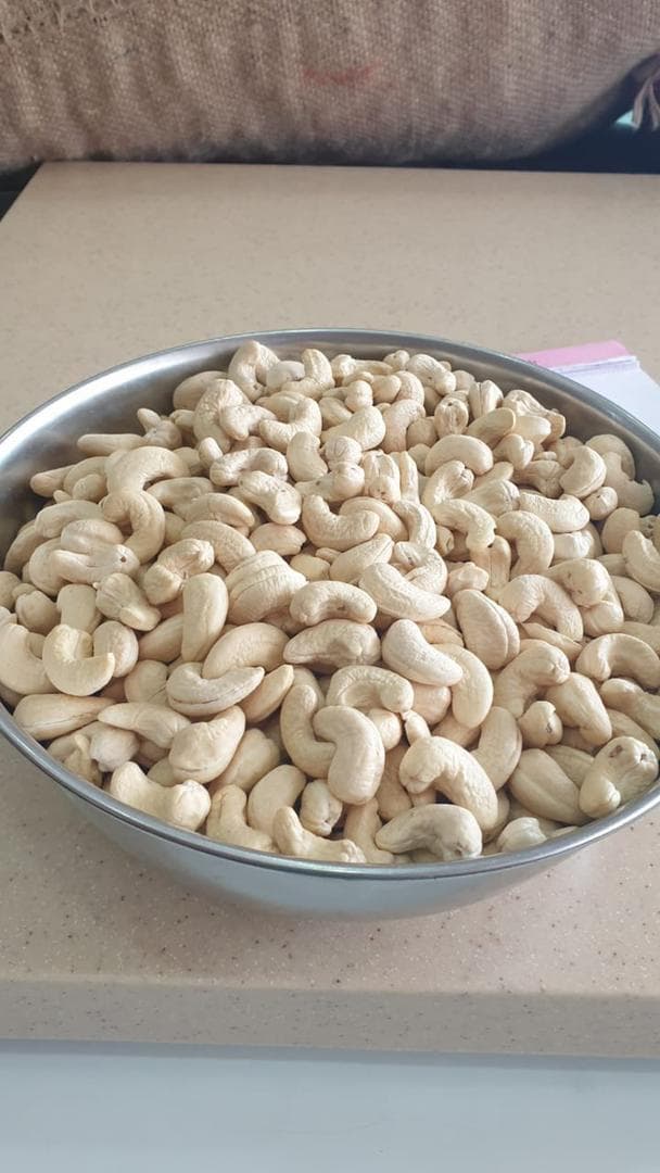 Whole cashew kernels, quality check