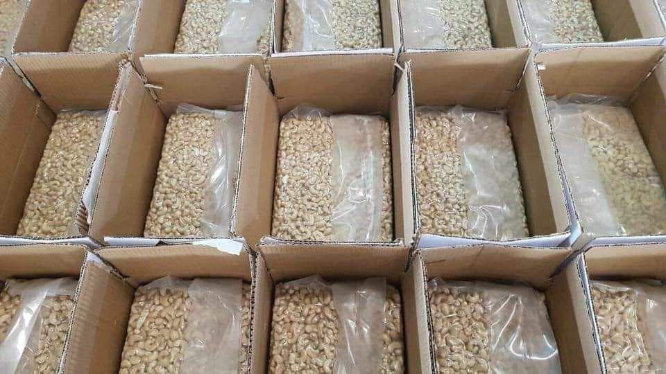 Cashew, vacuum-packed and boxed for shipment