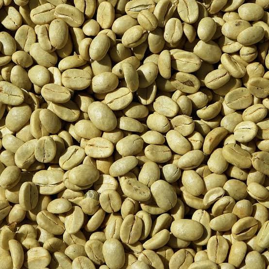Robusta Coffee