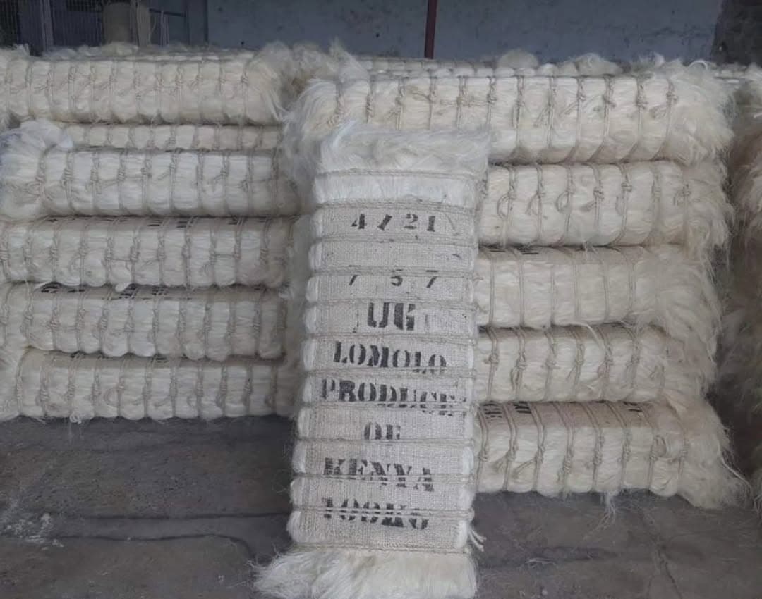 Sisal Fibre